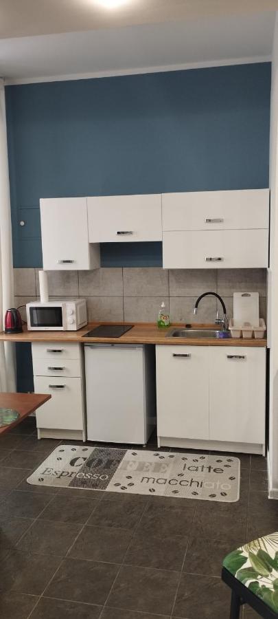 Apartment U Hanki Łódź